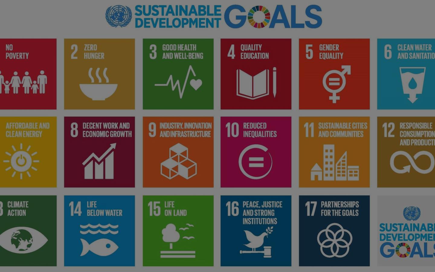 Sustainable Development Goals 