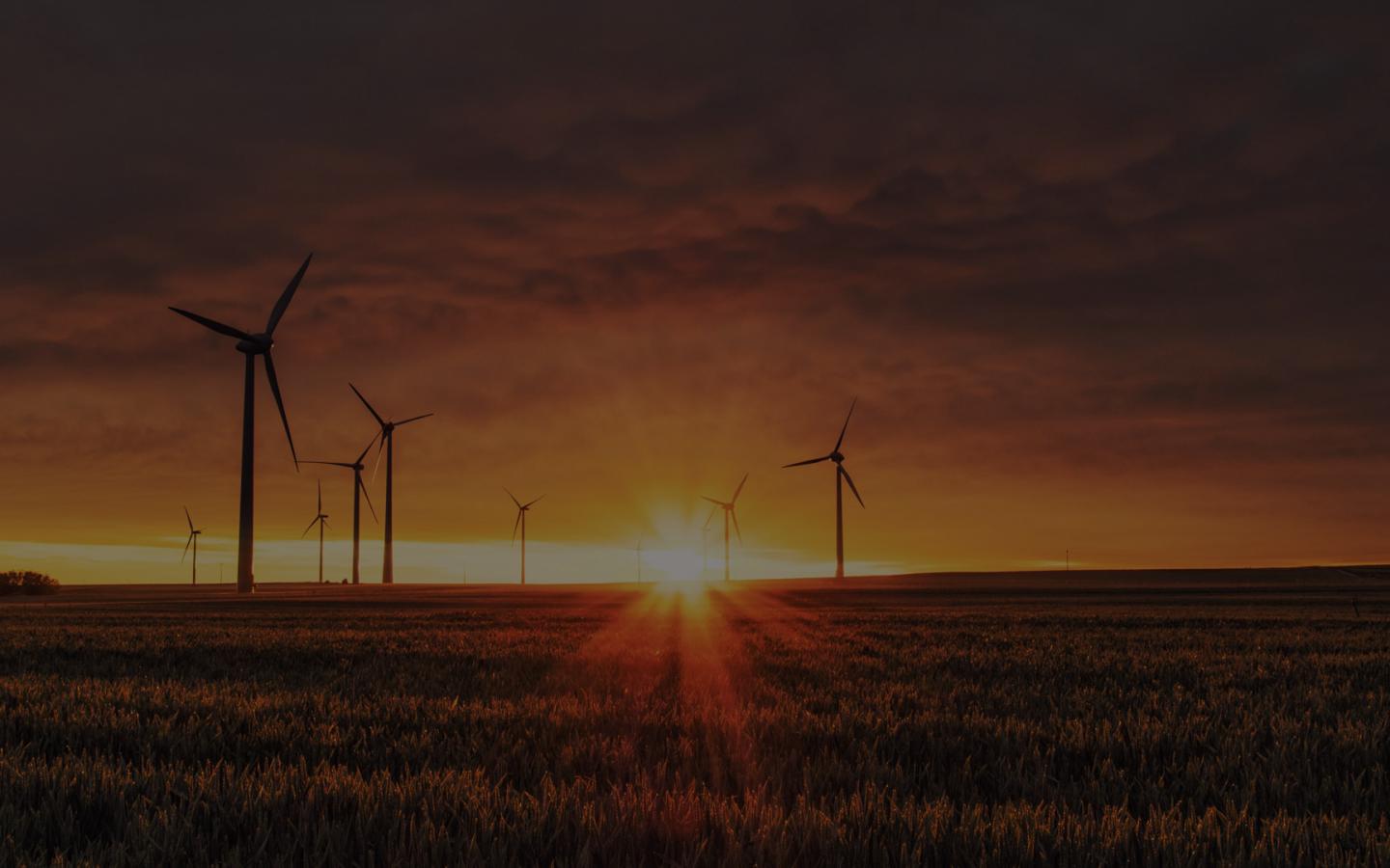 Generating energy through windmills on a farm